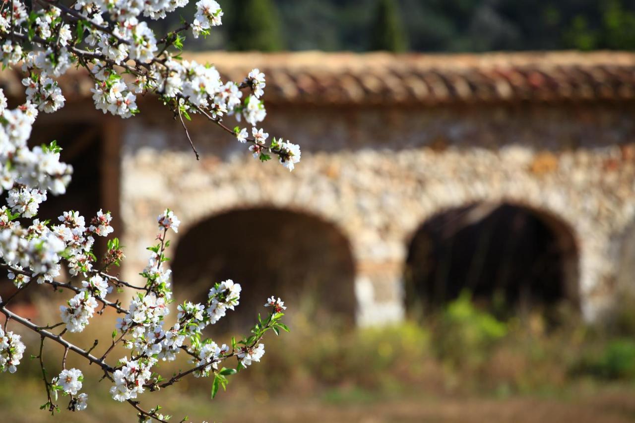 Benestar In Jalon Valley Alcalalí Zewnętrze zdjęcie